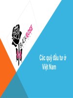 Các quỹ đầu tư ở việt nam