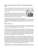 Thanh tra giám sát theo mô hình CAMELS có thể áp dụng đầy đủ từ năm 2015