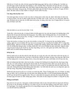 Viêm dạ dày ở trẻ em