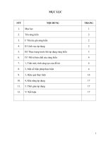 SKKN “LỒNG GHÉP TÍNH từ tạo nên TÍNH hấp dẫn KHI VIẾT đoạn văn TRONG dạy học môn TIẾNG ANH 11”