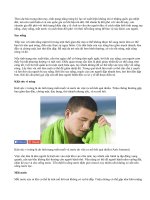 Cách phân biệt say nắng, cháy nắng, mất nước trong mùa hè