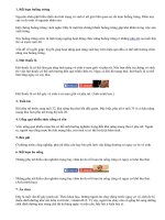 10 nguyên nhân hàng đầu gây vô sinh ở phụ nữ