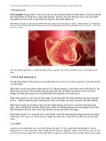 Những nguyên tắc 