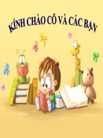 chuyên đề vi khuẩn helicobacter pylori (hp)