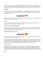 Tác hại khôn lường khi ăn quá nhiều dưa chuột