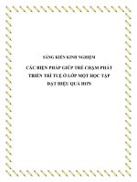 skkn các biện pháp giúp trẻ chậm phát triển trí tuệ ở lớp một học tập đạt hiệu quả hơn