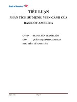 Phân tích sứ mệnh viễn cảnh của bank of america 