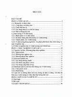 Nghiên cứu bào chế vi nhũ tương natri diclofennac dùng qua da