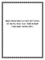 skkn biện pháp rèn luyện kỹ năng sử dụng màu sắc thích hợp cho học sinh lớp 1