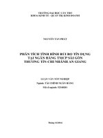 phân tích tình hình rủi ro tín dụng tại ngân hàng tmcp sài gòn thương tínchi nhánh an giang