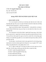 Quản trị chiến lược phân tích ngành du lịch việt nam