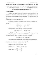 báo cáo thực tập hóa lý CNHH