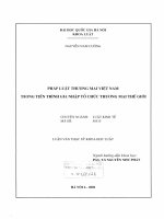 Pháp luật thương mại việt nam trong tiến trình gia nhập tổ chức thương mại thế giới 