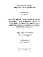 phân tích thực trạng rủi ro tín dụng trong hoạt động cho vay cá nhân tại ngân hàng thương mại cổ phần phát triển nhà đồng bằng sông cửu long chi nhánh châu đốc