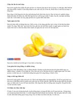 Lợi ích sức khỏe và làm đẹp bất ngờ của hạt mít