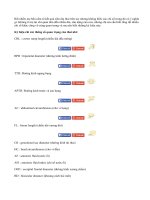 Cực dễ cách đọc kết quả siêu âm thai