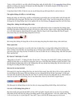 Những điều đặc biệt chỉ khi bầu bí mới biết