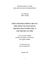 phân tích hoạt động cho vay tiêu dùng tại ngân hàng thương mại cổ phần bắc á chi nhánh cần thơ