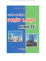 Giáo trình pháp luật kinh tế hay nhất