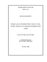 Pháp luật về hình thức đầu tư ra nước ngoài của doanh nghiệp việt nam 