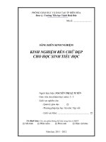 skkn kinh nghiệm rèn chữ đẹp cho học sinh tiểu học 