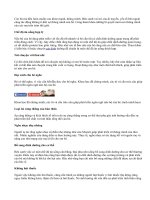 Học hỏi cách giúp bé thông minh từ trong bụng mẹ