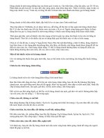 Thực hư bài thuốc trị ho từ lá húng chanh