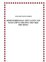 skkn  kinh nghiệm dạy tiết luyện tập toán lớp 5 trường tiểu học phù đổng 