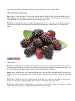 Phương thuốc cho người bệnh gan