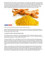 Tác dụng phòng ngừa bệnh tiểu đường từ củ nghệ