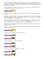 Bộ ảnh mang thai đẹp ngọt ngào của cặp đôi đồng tính nữ