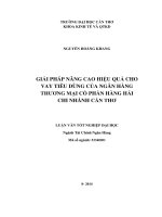 giải pháp nâng cao hiệu quả cho vay tiêu dùng của ngân hàng thương mại cổ phần hàng hải chi nhánh cần thơ