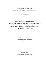 phân tích hoạt động tín dụng dnvvn tại ngân hàng tmcp đầu tư và phát triển việt nam chi nhánh cần thơ
