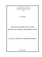 Phân tích tài chính công ty TNHH thương mại và dịch vụ tổng hợp hà cường 