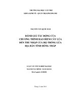 đánh giá tác động của chương trình bảo hiểm cây lúa đến thu nhập của hộ trồng lúa địa bàn tỉnh đồng tháp