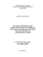 ứng dụng mô hình camel trong phân tích tài chính tại ngân hàng thương mại cổ phần sài gòn thương tín chi nhánh cần thơ