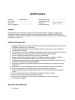 Bản mô tả công việc CEO