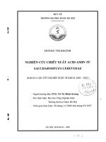 Nghiên cứu chiết xuất acid amin từ saccharomyces cerevisiae