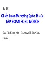 Chiến lược marketing quốc tế của tập đoàn FORD MOTOR