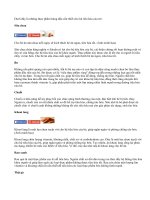 Những thực phẩm tốt có tác dụng 