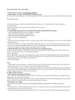 Ôn tập dấu câu ( Dấu phẩy)