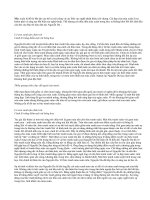 Bức tranh Xuân trong Truyện Kiều