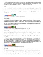 6 loại rau bổ não trẻ thông minh hay ăn