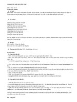 Soạn bài: Đập đá ở Côn Lôn của Phan Châu Trinh