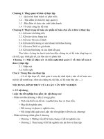 Hướng dẫn báo cáo tổng hợp kế toán tổng hợp