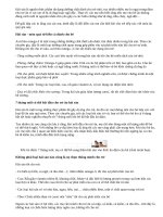 Cho trẻ ăn dặm: Đừng sợ hải sản!