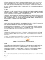 Top món ăn dặm mẹ KHÔNG nên để tủ lạnh