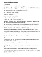 Soạn bài thuyết minh kết hợp miêu tả