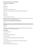 Soạn bài chữa lỗi về chủ ngữ và vị ngữ tiếp theo