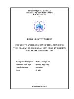 Các yếu tố ảnh hưởng đến sự thỏa mãn công việc của cán bộ công nhân viên công ty cổ phần nha trang seafoods   f17